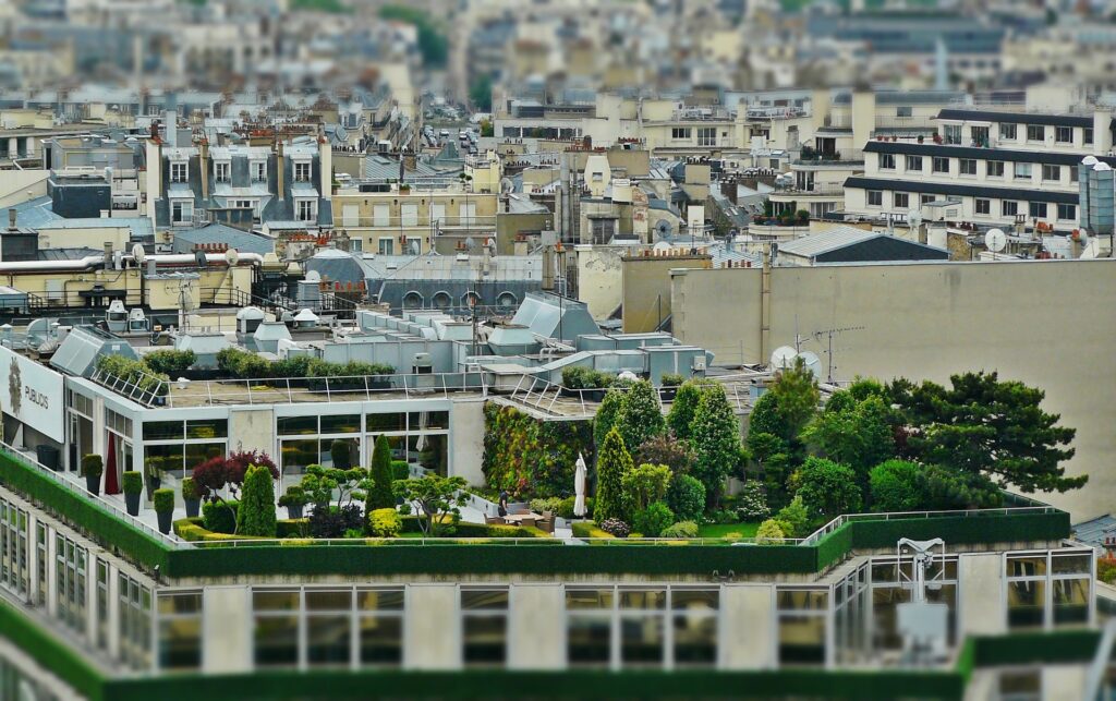 Comment réaliser un toit végétalisé terrasse Paris