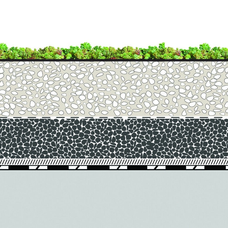 toiture terrasse végétalisée coupe succulis meridio système ECOVEGETAL