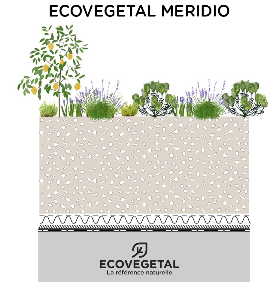 Végétation de type méditerranéen pour un toit terrasse jardin