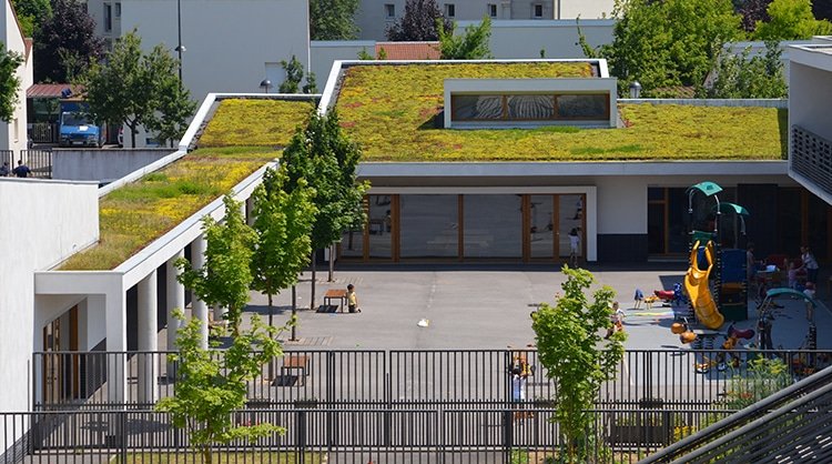 C'est la rentrée des classes ! - ECOVEGETAL